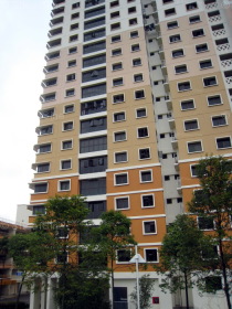 Blk 87 Telok Blangah Heights (Bukit Merah), HDB 4 Rooms #259892